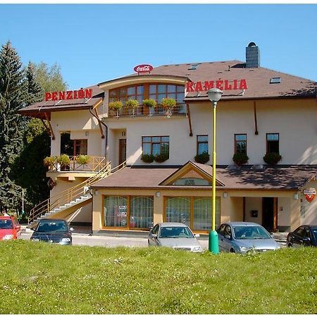 Penzion Kamelia Zilina Bagian luar foto